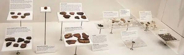 Tessons de céramiques issus de la culture de Lapita.