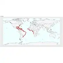 Aire de répartition de C. chrysurus d'après l'UICN (2024).