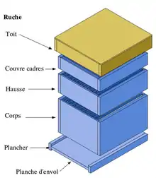 Ruche pastorale Dadant