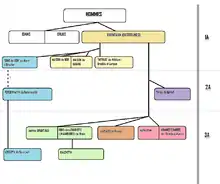 Diagramme des divisions des Orientaux