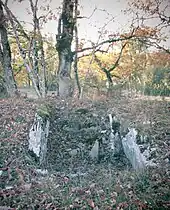 Dolmen de la Combe de l'Ours no 1