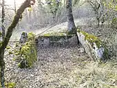 Dolmen de Combemousseuse