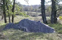 Image illustrative de l’article Dolmen des Plassous