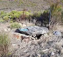Dolmen du Roc de Jornac
