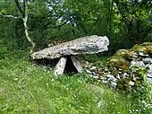 name=Dolmen des Causses Hauts no 1