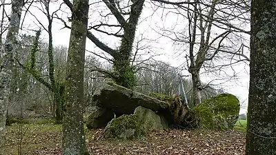 Allée couverte de Kergonfalz