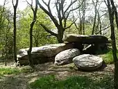 Dolmen de Roh-Koh-Koed (1).