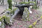 Dolmens des Aumières