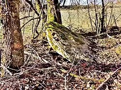 Image illustrative de l’article Grosse Pierre (Échenoz-le-Sec)