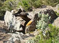 Image illustrative de l’article Dolmen du Camp Gran I