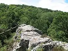 Le Saut Roland - Dompierre du Chemin