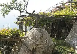 Vignobles en terrasse à Donnas