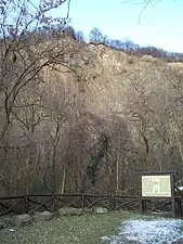 Site de la découverte.