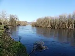La Dordogne entre les lieux-dits la Borgne de la Dame et les Borgnes de Lavigerie, à Saint-Julien-de-Lampon.