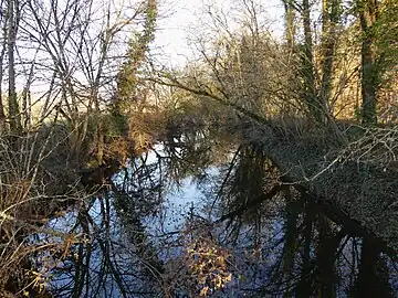 Image illustrative de l’article Couasnes de Saint-Julien-de-Lampon