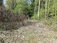 Le puits dans son environnement.