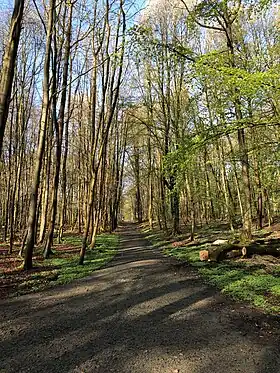 Image illustrative de l’article Drève du Fort Jaco