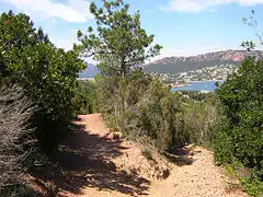 Rencontre de deux sentiers sur le flanc est du Dramont