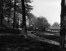 Jardin à l’arrière (1902)