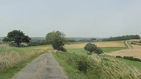 Route de crête depuis Duffort.