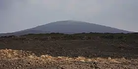 Image illustrative de l’article Ale Bagu