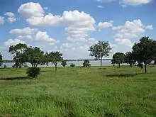 Vue d'une prairie avec des arbres et un lac en arrière-plan.