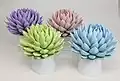 Echeverias peintes pour décoration.