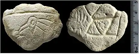 Plaquette gravée avec un oiseau, Ein Qashish sud, Kébarien ou Kébarien géométrique.