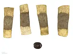 Entada polystachya var. polyphylla - Muséum de Toulouse