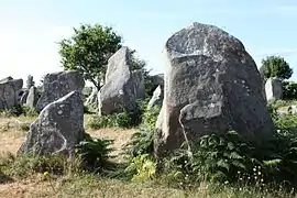 Une vue des alignements (1).