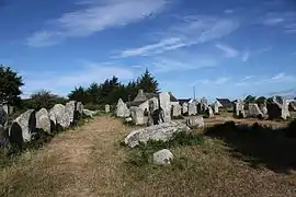 Une vue des alignements (2).