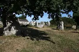 Une vue des alignements (4).