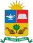 Blason de San Vicente