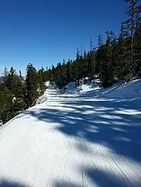 La piste Traverse en 2015.