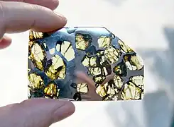 Tranche de la pallasite Esquel (en).