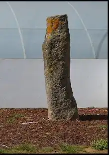 Image illustrative de l’article Statue-menhir de São Bartolomeu do Mar