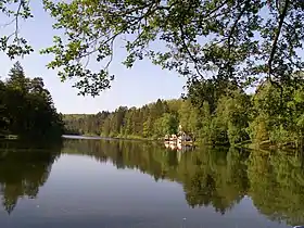 Image illustrative de l’article Étang de Hasselfurth