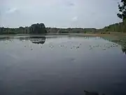 L'étang sud de Loudon.