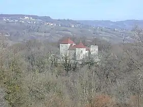 Image illustrative de l’article Château de Sallenôves