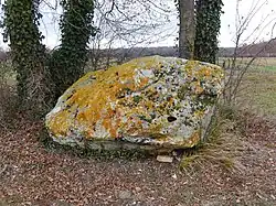 Image illustrative de l’article Chail de Bois Bellot