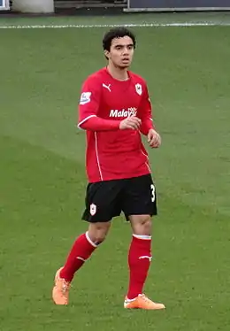 Image illustrative de l’article Fábio (football)