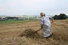 Le séchage de la paille