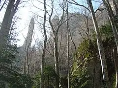 Falaises dans la forêt de Saou.
