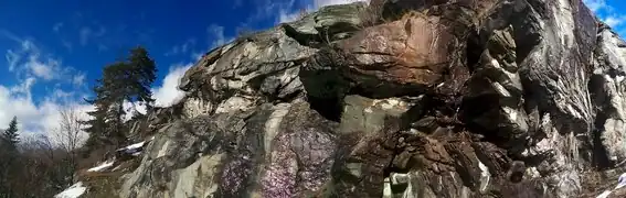 Photographie en couleur d'une partie de falaise, un arbre et ciel bleu en second plan.