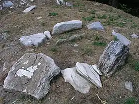 Structure avec orthostates