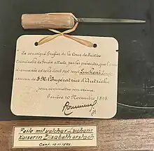 Photographie en couleur d'une lime effilée montée sur un court manche arrondi et formant un stylet.