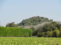 Le terril no 16, 1.