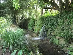 Ruisseau coulant le long d'un muret de granit couvert de végétation.