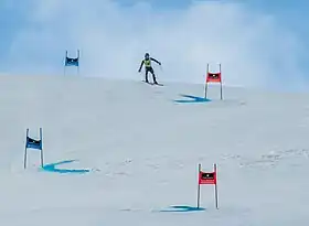 Image illustrative de l’article Filippo Della Vite