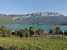 Une foule regardant un spectacle